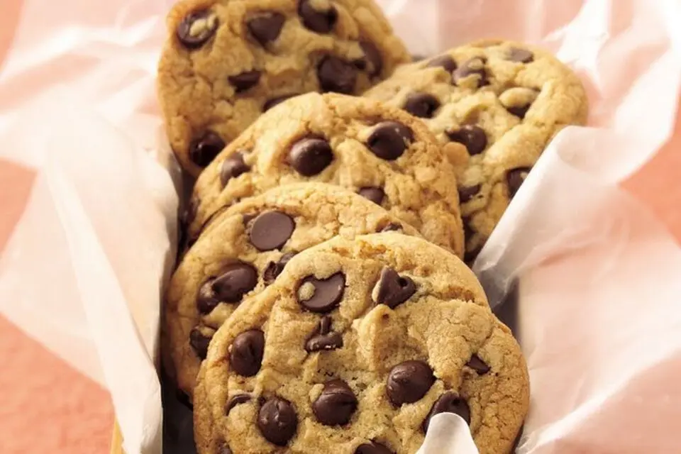Hornos industriales para galletas en Colombia de cadena, convección y combi para producción artesanal y plantas galleteras.